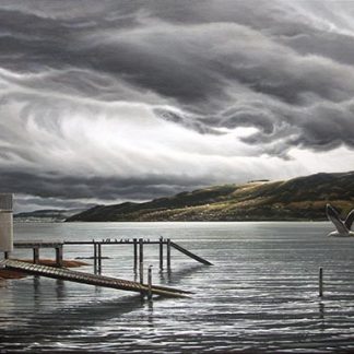 Storm, Otago Harbour
