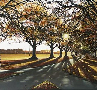 Autumn Light, Hagley Park