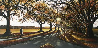 Autumn Light, Hagley Park