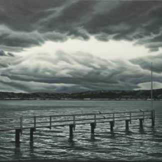 Riders of the Storm, Dunedin Harbour