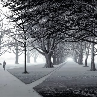 Out of the Mist, Hagley Park